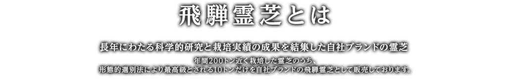 飛騨霊芝とは