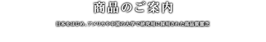 商品のご案内