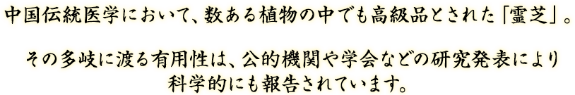 中国伝統医学において