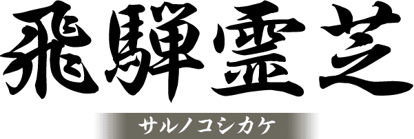 飛騨霊芝 サルノコシカケ