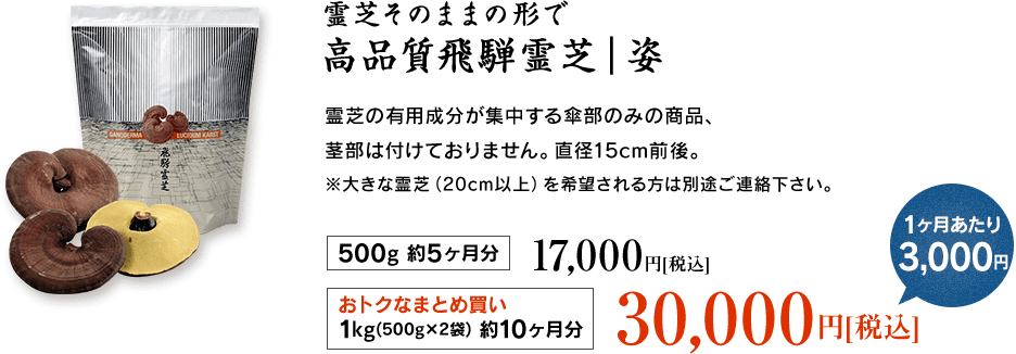 高品質飛騨霊芝｜姿