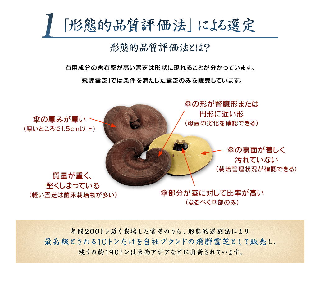 1 「形態的品質評価法」による選定