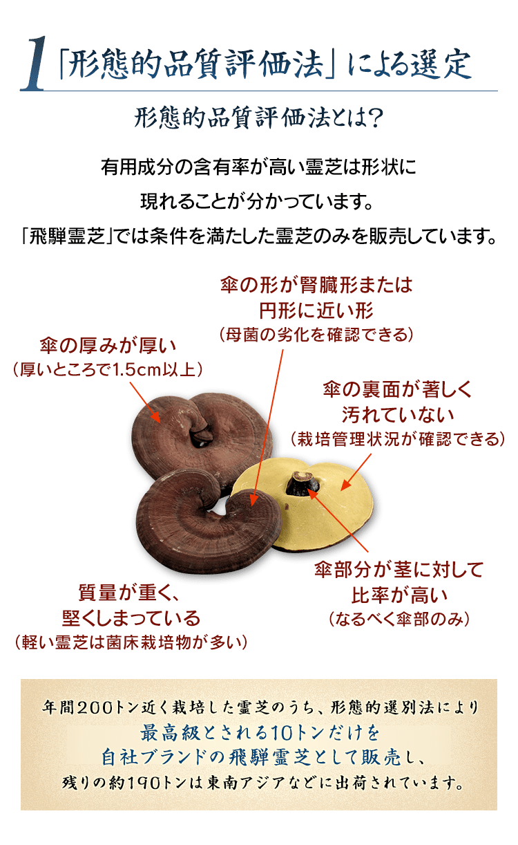 1 「形態的品質評価法」による選定