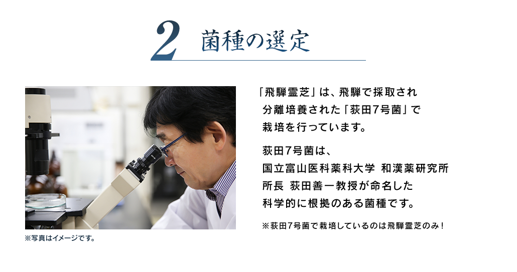 2 菌種の選定