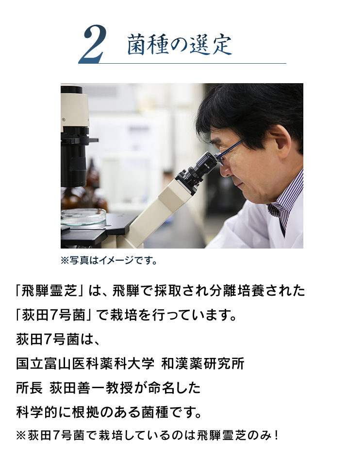 2 菌種の選定