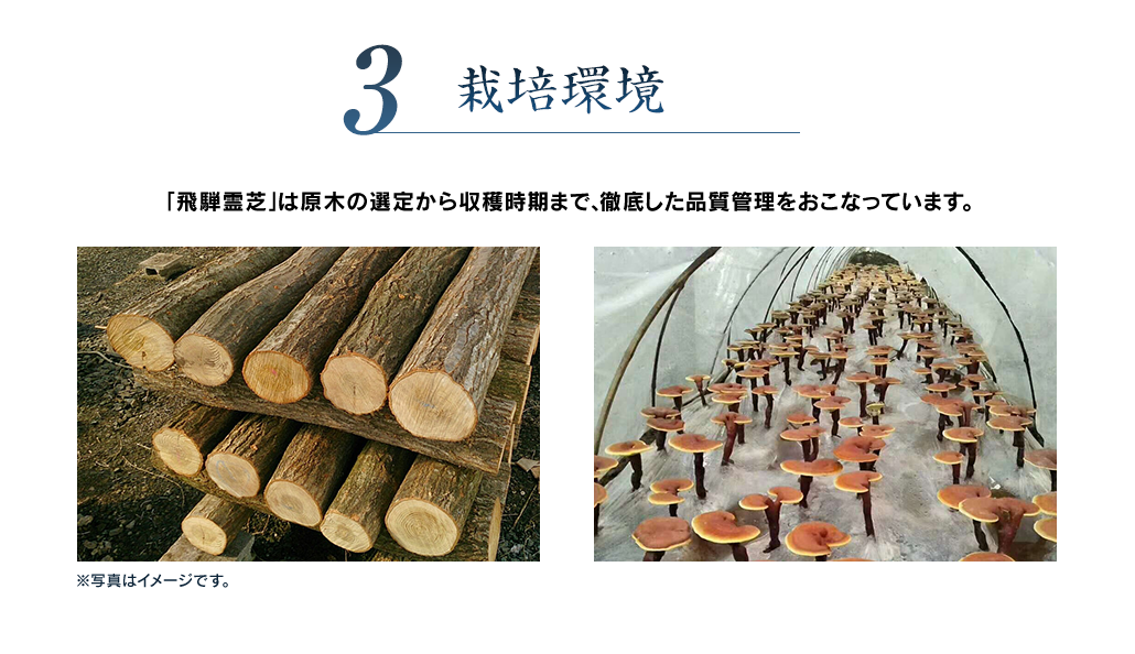 3 栽培環境