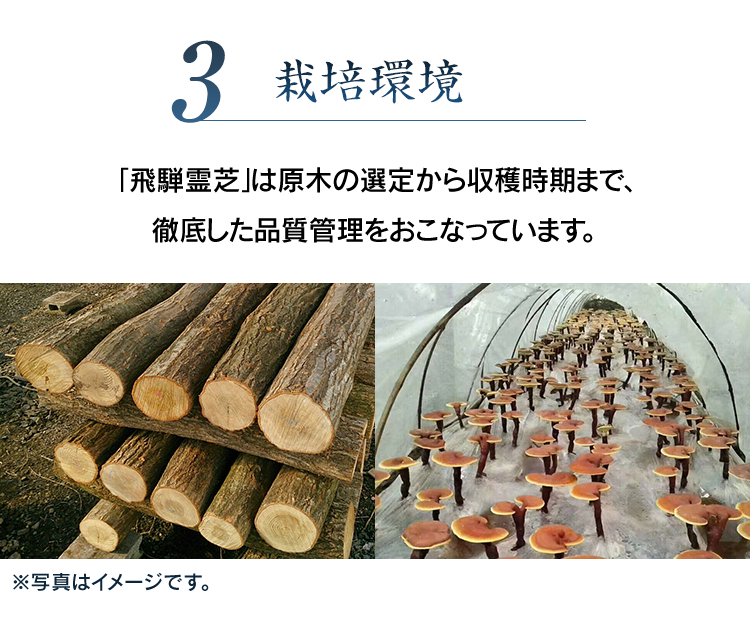 3 栽培環境