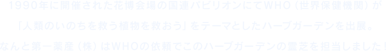 1990年に開催された