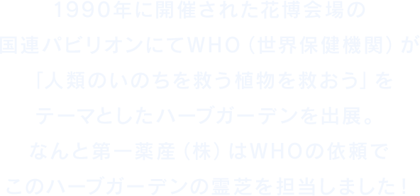 1990年に開催された